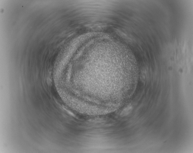 X0000074971010200609291932