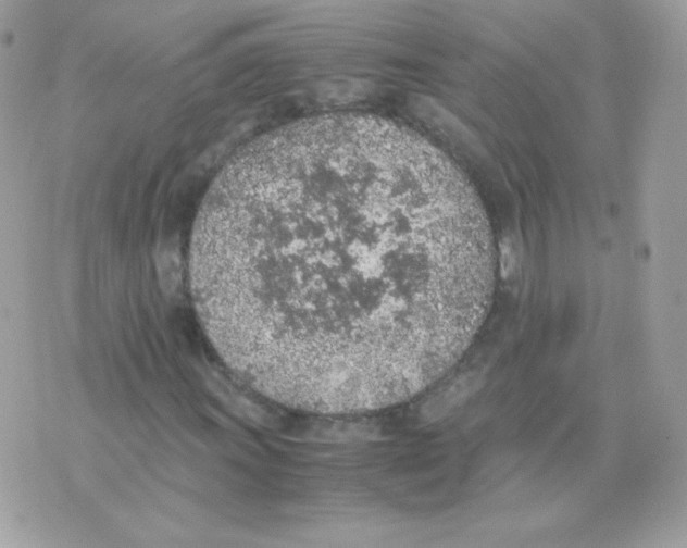 X0000074971011200609291932