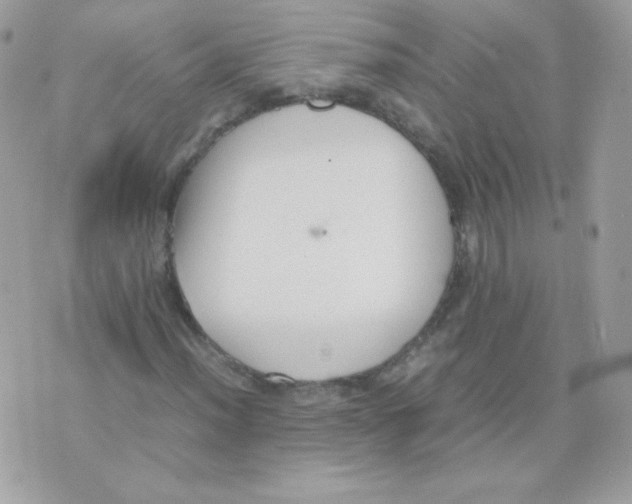 X0000074971012200609291932