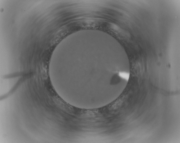 X0000074971013200609291932