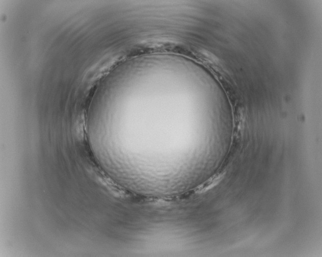 X0000074971014200609291932