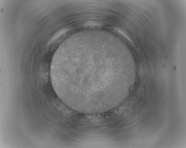 X0000074971015200609291932