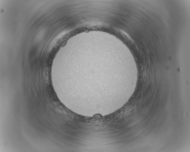 X0000074971016200609291932