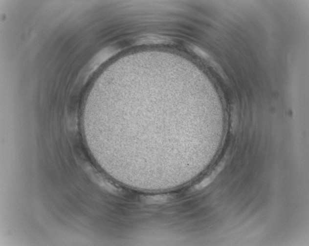 X0000074971017200609291932