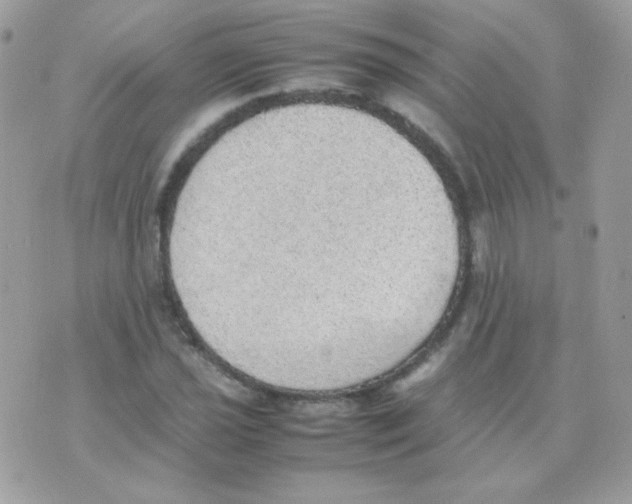 X0000074971021200609291933