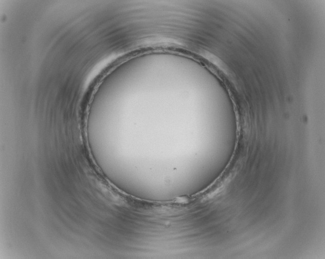 X0000074971022200609291933