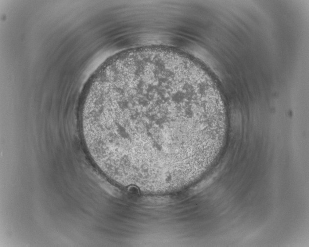 X0000074971023200609291933