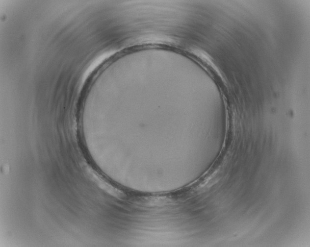 X0000074971024200609291933