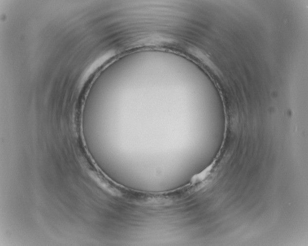 X0000074971026200609291933