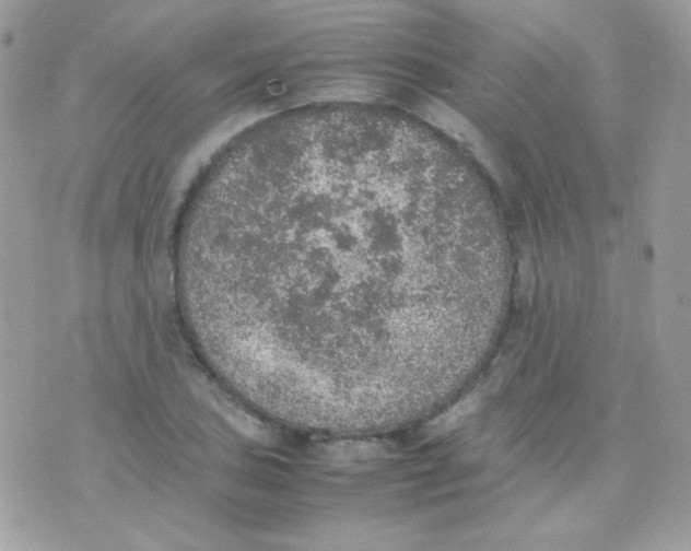 X0000074971027200609291933