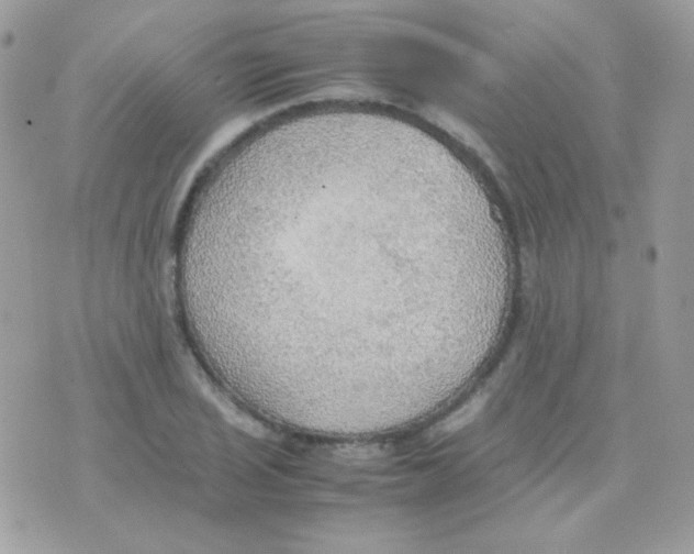 X0000074971029200609291933