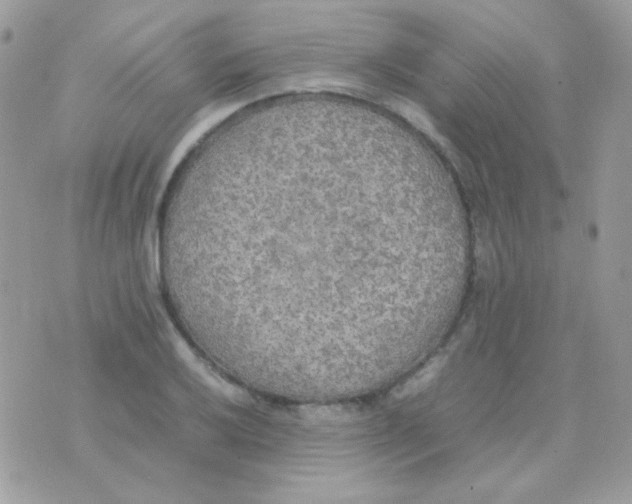 X0000074971032200609291933