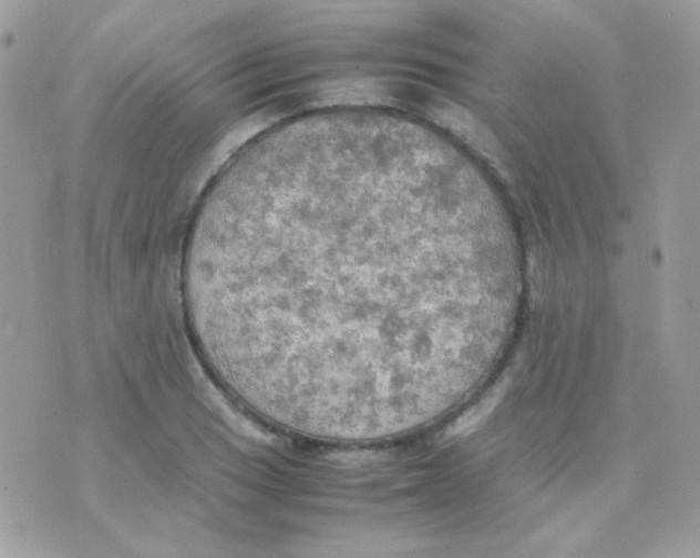 X0000074971033200609291933