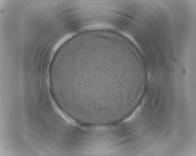 X0000074971034200609291933