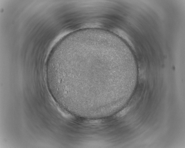 X0000074971035200609291933