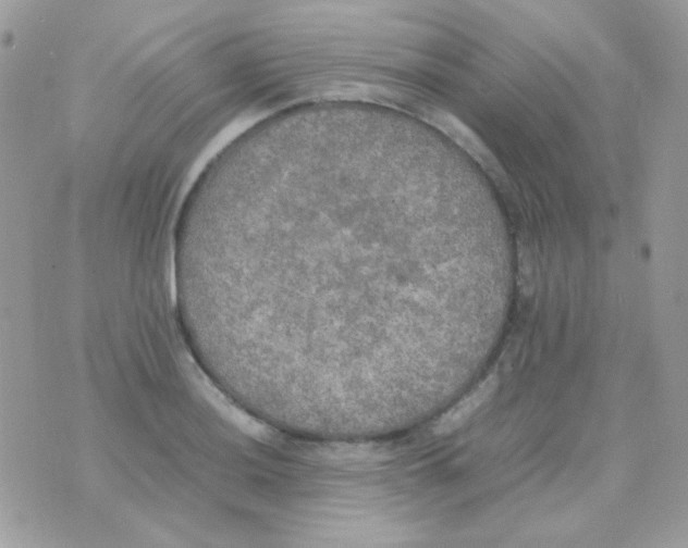 X0000074971036200609291933