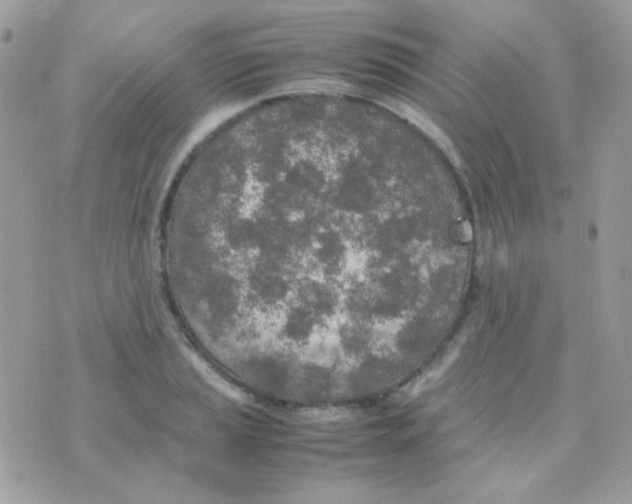 X0000074971037200609291933