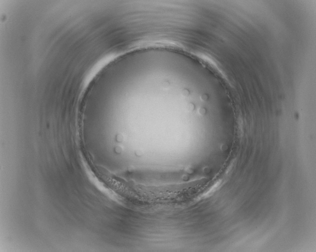 X0000074971038200609291933