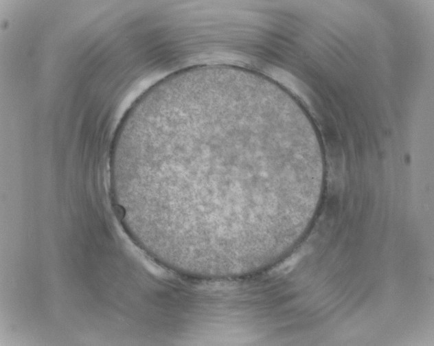 X0000074971040200609291933