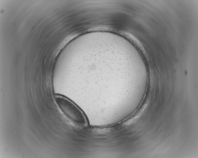 X0000074971041200609291933