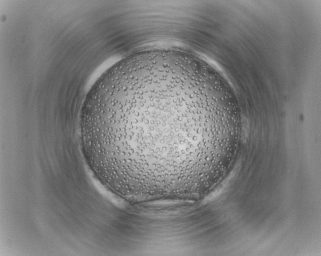 X0000074971042200609291933