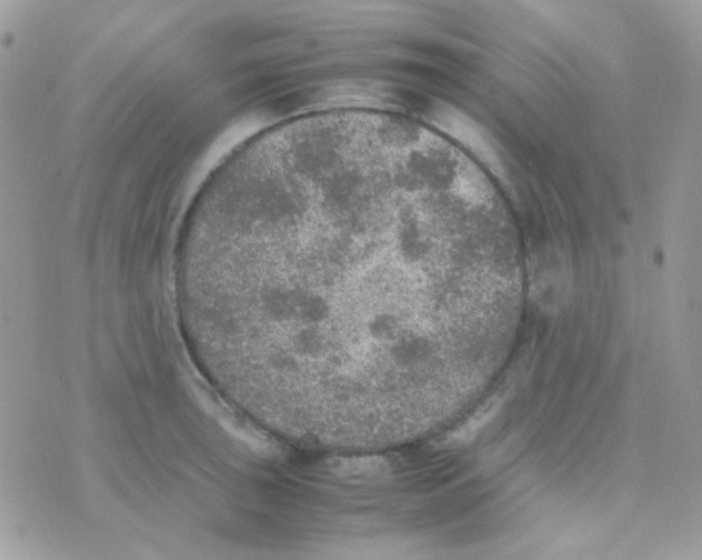 X0000074971043200609291933