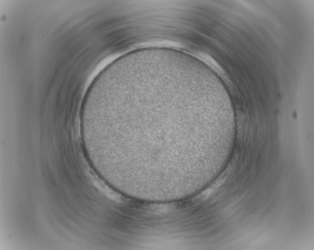 X0000074971044200609291933