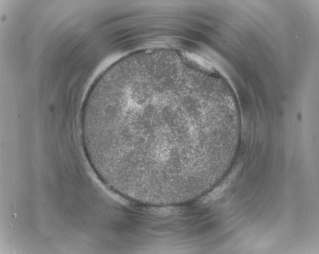 X0000074971045200609291933