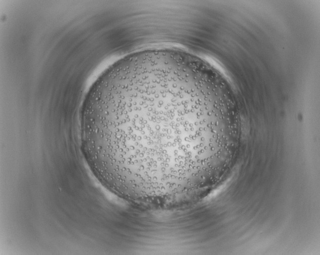 X0000074971046200609291933