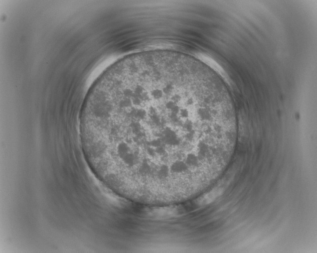 X0000074971047200609291933