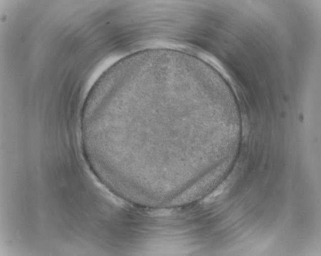 X0000074971048200609291933