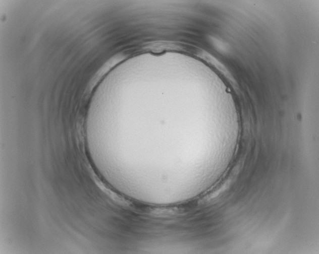 X0000074971049200609291933