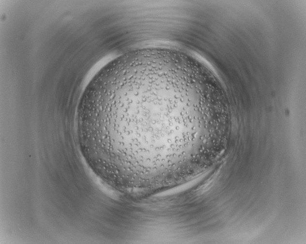 X0000074971050200609291933