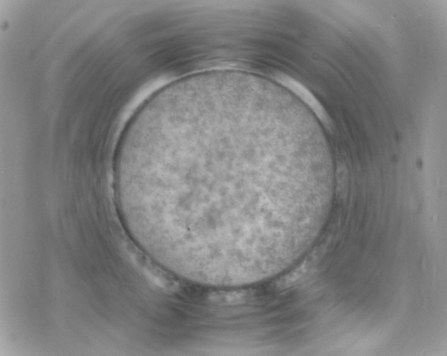 X0000074971051200609291933