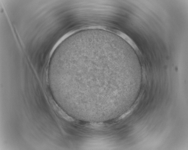 X0000074971052200609291933