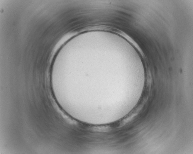 X0000074971053200609291933