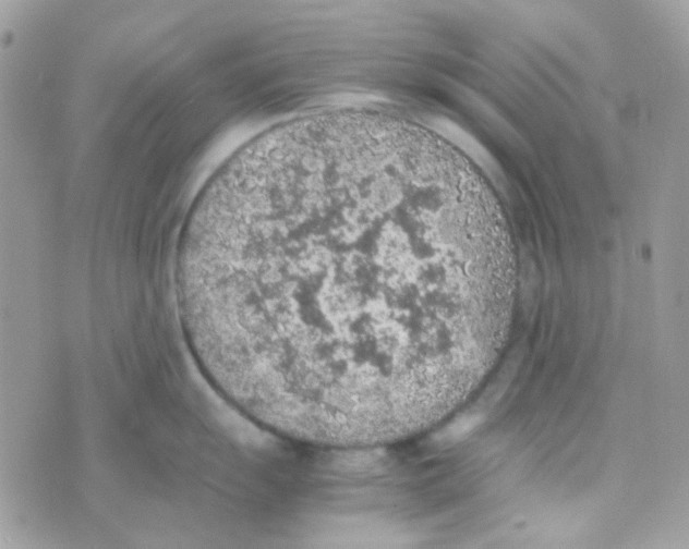 X0000074971055200609291933