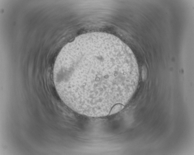 X0000074971059200609291932