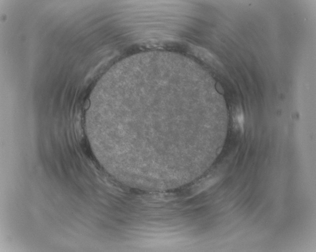 X0000074971060200609291932