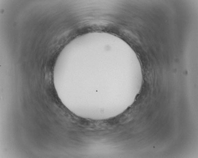 X0000074971061200609291932