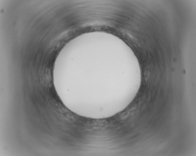 X0000074971062200609291932