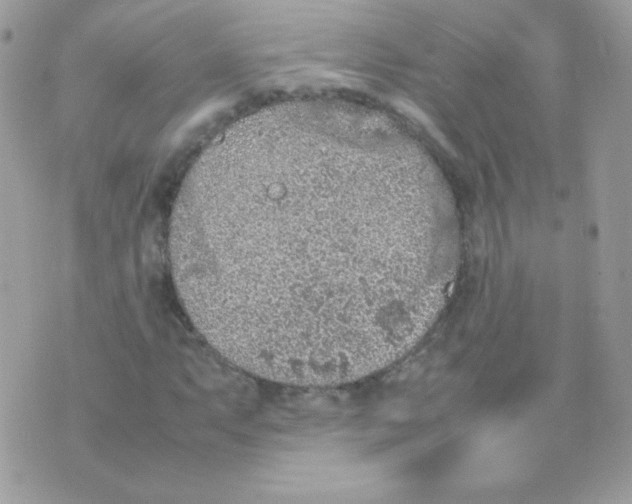 X0000074971063200609291932