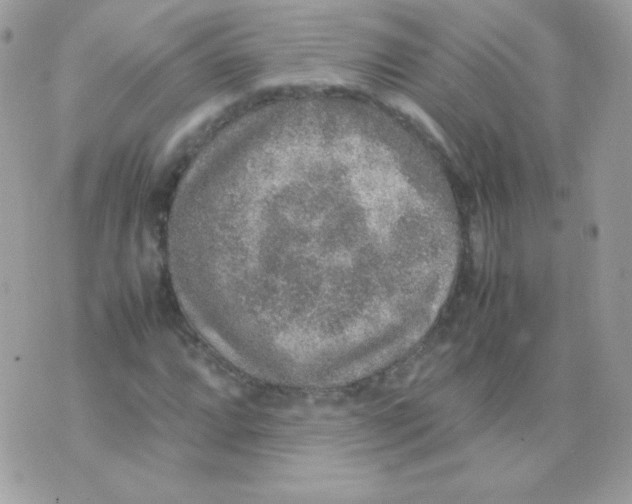 X0000074971064200609291932