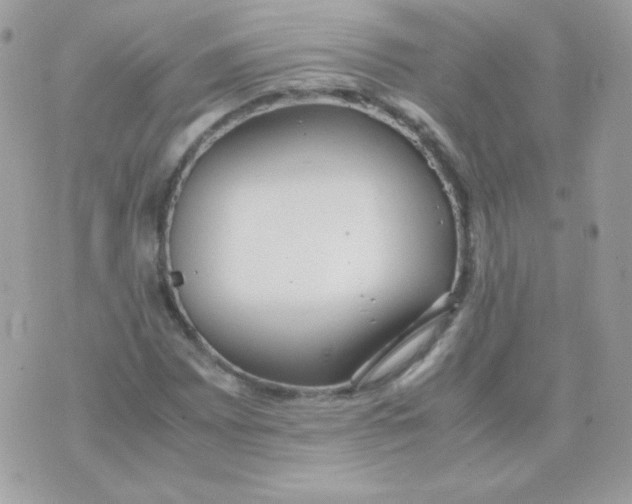 X0000074971065200609291932