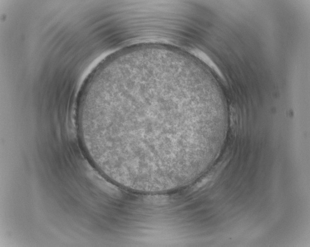 X0000074971068200609291932