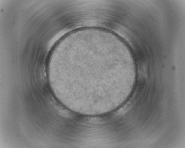 X0000074971070200609291932