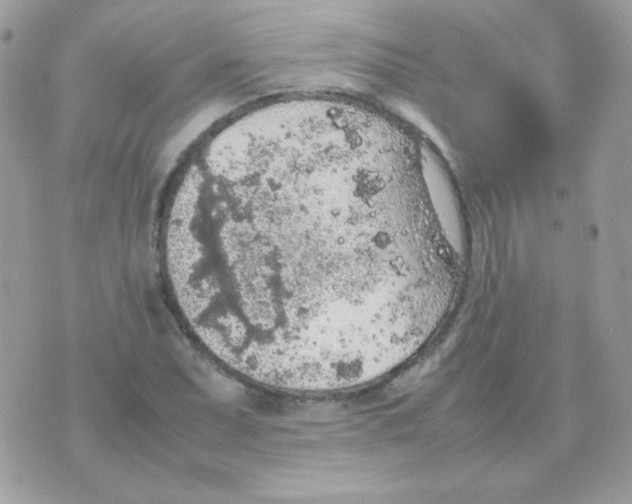 X0000074971071200609291932