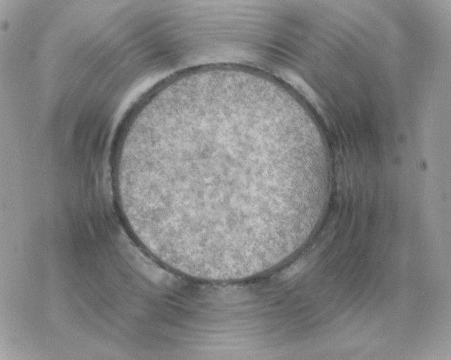 X0000074971072200609291932