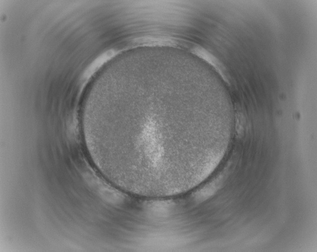 X0000074971074200609291932