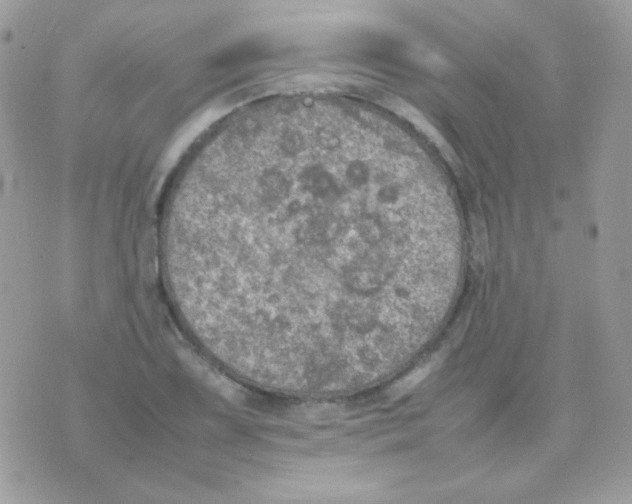 X0000074971075200609291932